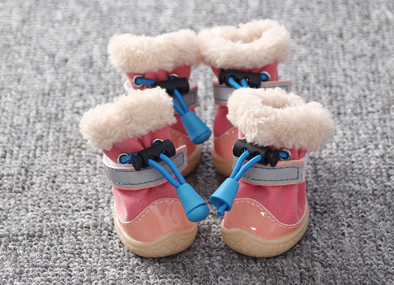 Zapatos de Moda para Perros Pequeños: Estilo y Comodidad