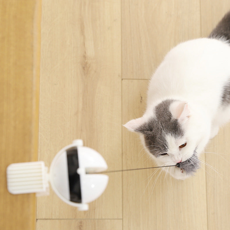 Bola Automática Elevable para Diversión Felina