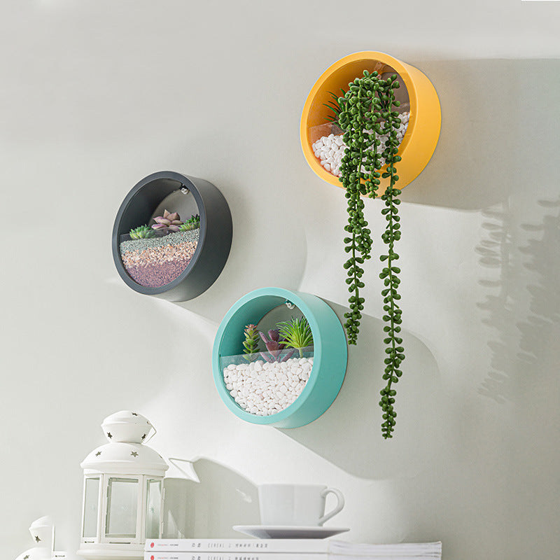 Jarrón de Pared Redondo: Elegancia para Hogar y Restaurante