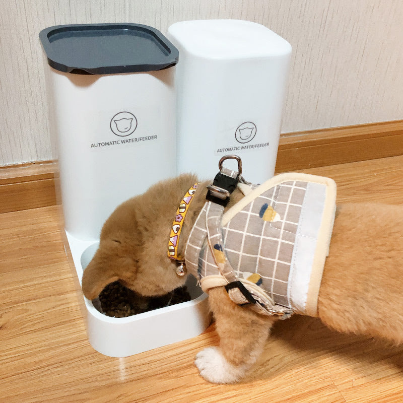 Comedero Automático para Perros y Gatos sin Preocupaciones