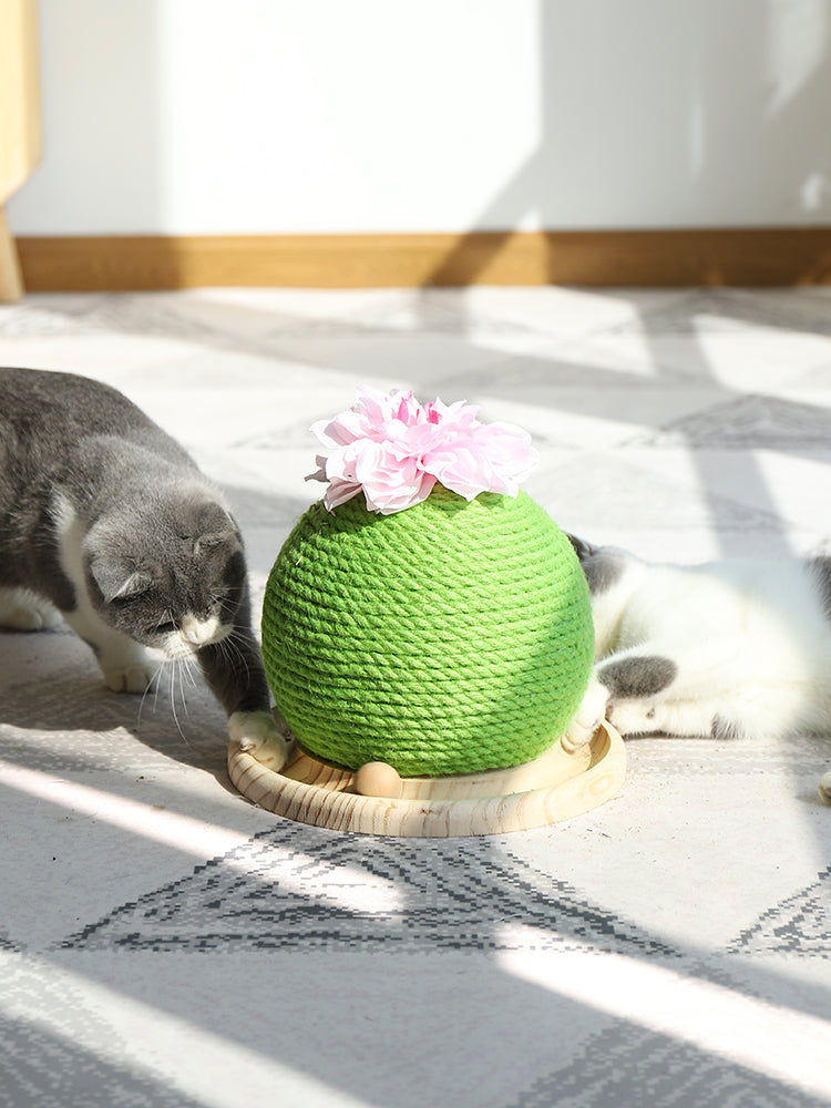 Diversíon y Cuidado: Rascador Ideal para Gatos 🐱
