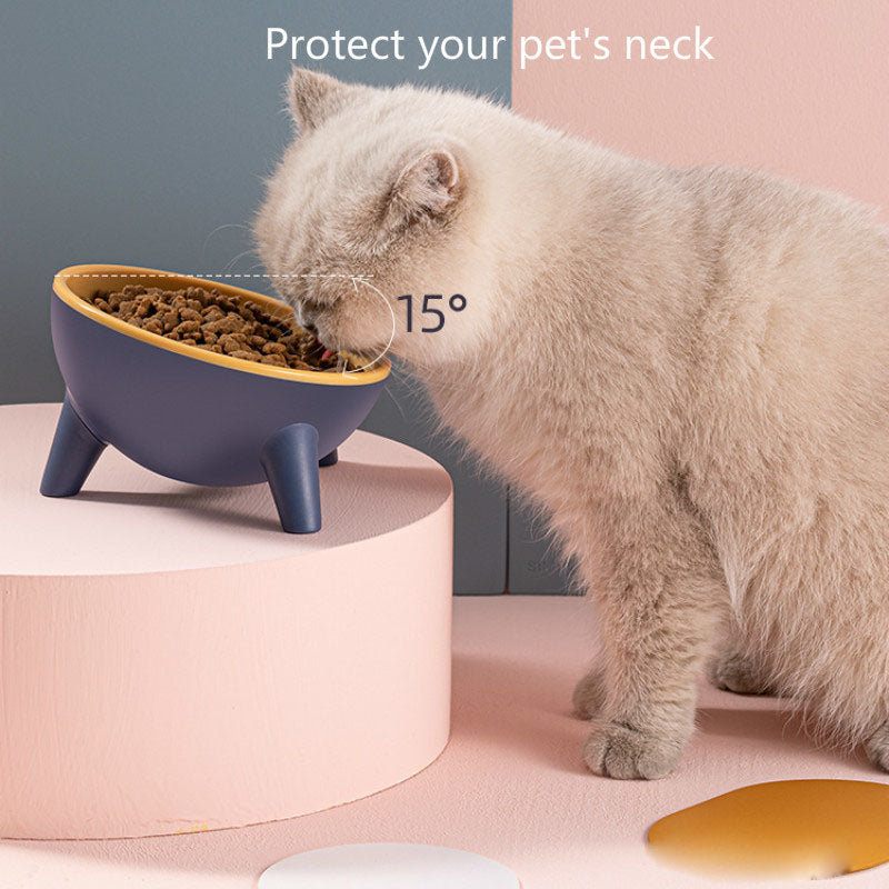 Comedero Elevado para Mascotas: Estilo y Comodidad Diaria