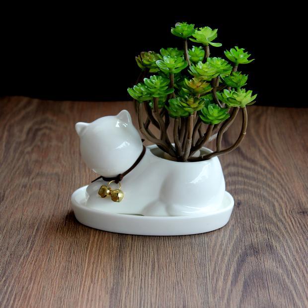 Maceta de Gatito Cerámica: Encanto para Plantas Pequeñas
