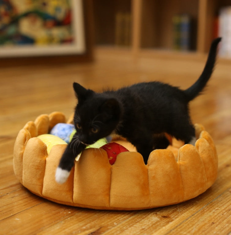 Cama Creativa para Gatos y Perros: Cómoda y Acogedora