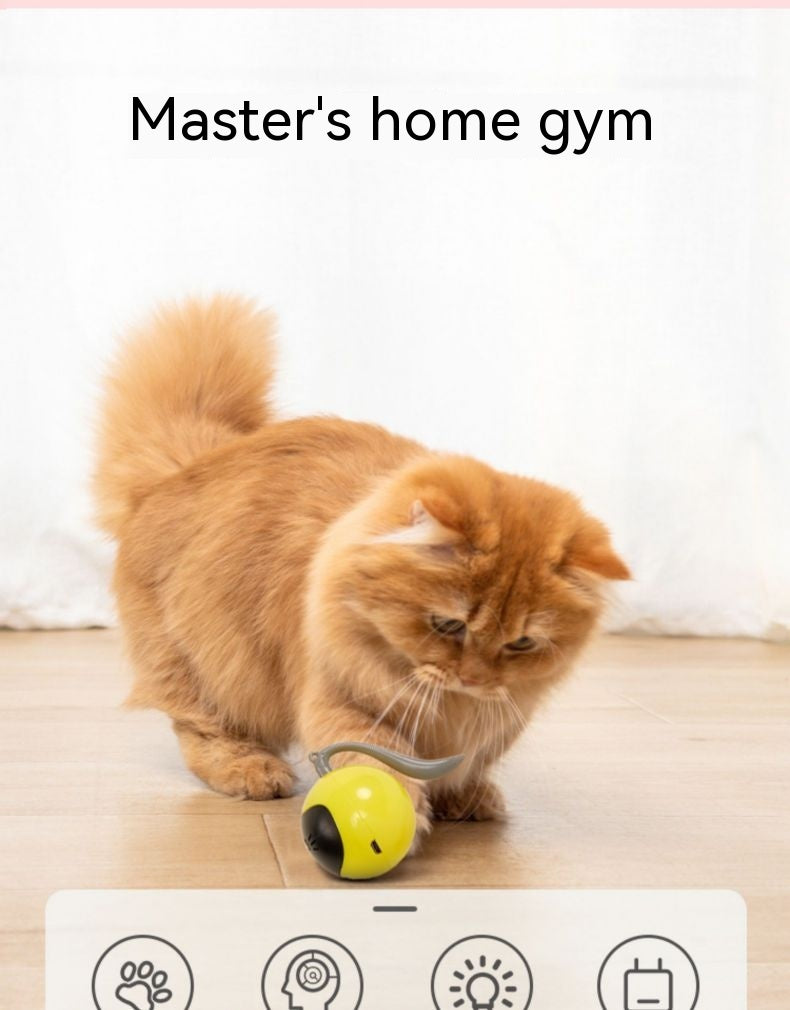 Pelota Inteligente para Gatos que Aman Jugar