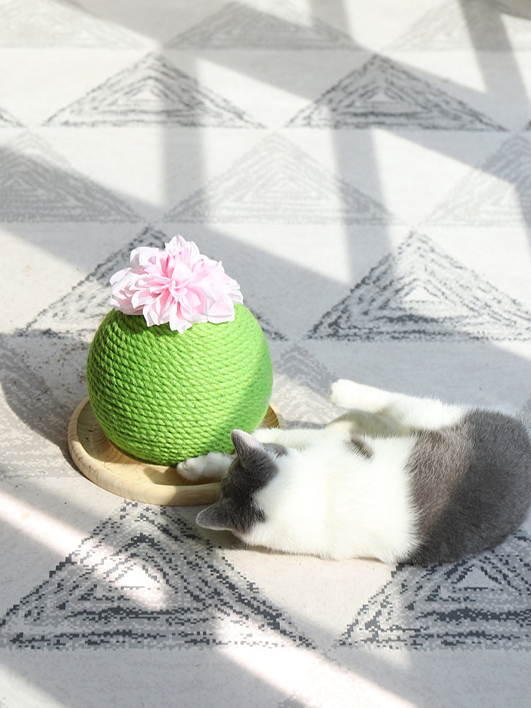 Diversíon y Cuidado: Rascador Ideal para Gatos 🐱