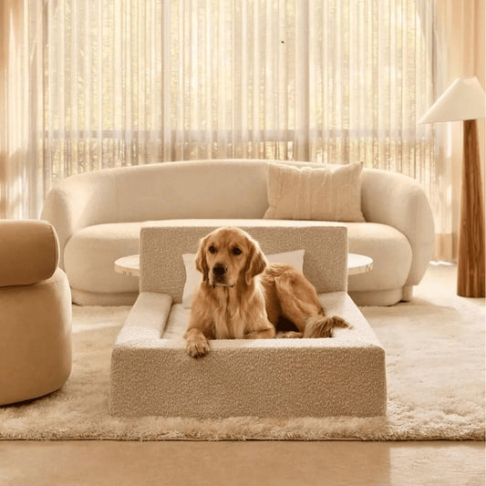 Cama Rectangular para Perros y Gatos: Sueño Confortable