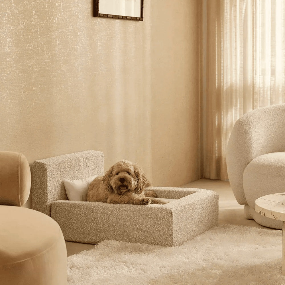 Cama Rectangular para Perros y Gatos: Sueño Confortable