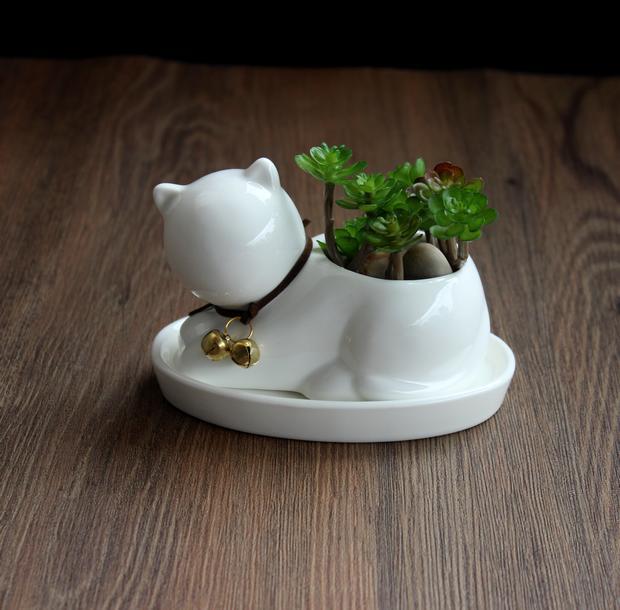 Maceta de Gatito Cerámica: Encanto para Plantas Pequeñas
