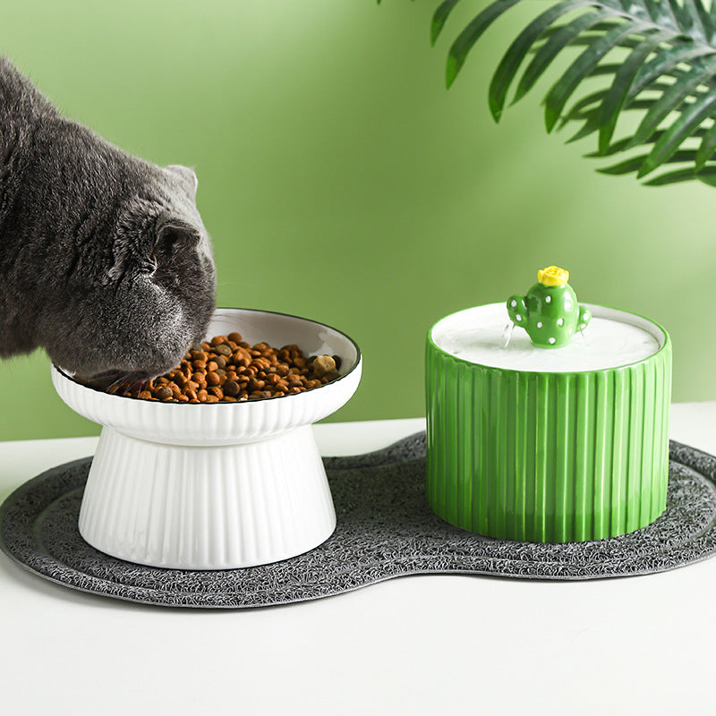 Bebedero Circulante para Gatos: Más Limpio, Más Saludable