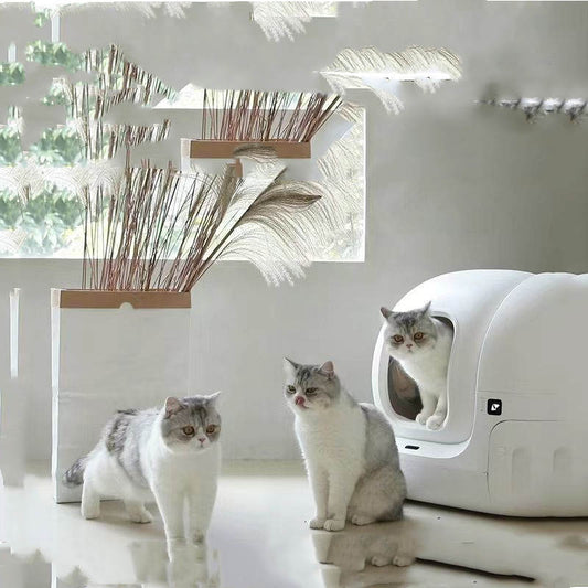 Arenero Automático Inteligente para Gatos, Limpieza Sin Esfuerzo