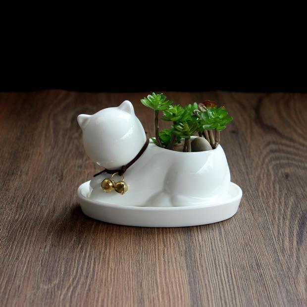 Maceta de Gatito Cerámica: Encanto para Plantas Pequeñas