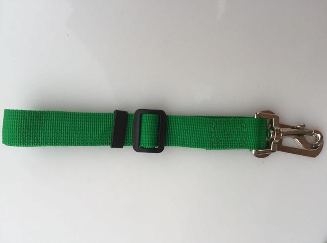 Cinturón de Seguridad para Mascotas: Viajes Tranquilos y Seguros