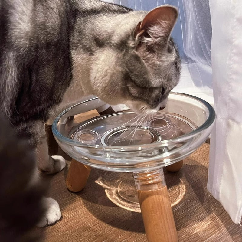 Plato Seguro y Estable para Mascotas con Protección Cervical