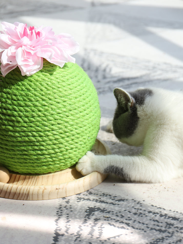 Diversíon y Cuidado: Rascador Ideal para Gatos 🐱