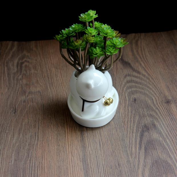 Maceta de Gatito Cerámica: Encanto para Plantas Pequeñas