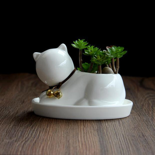 Maceta de Gatito Cerámica: Encanto para Plantas Pequeñas