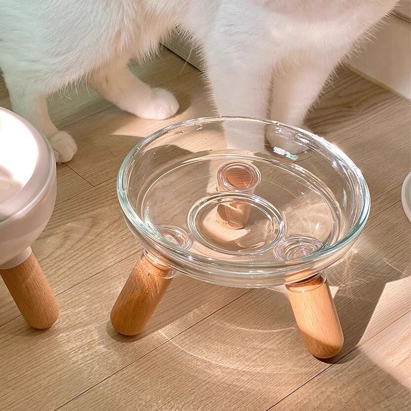 Plato Seguro y Estable para Mascotas con Protección Cervical