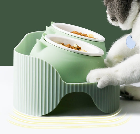 Tazón Cerámico Elevado que Cuida el Cuello de tu Mascota