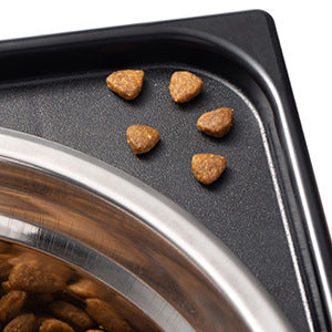 Comedero Alto para Perros Grandes: Alimentación Sin Esfuerzo
