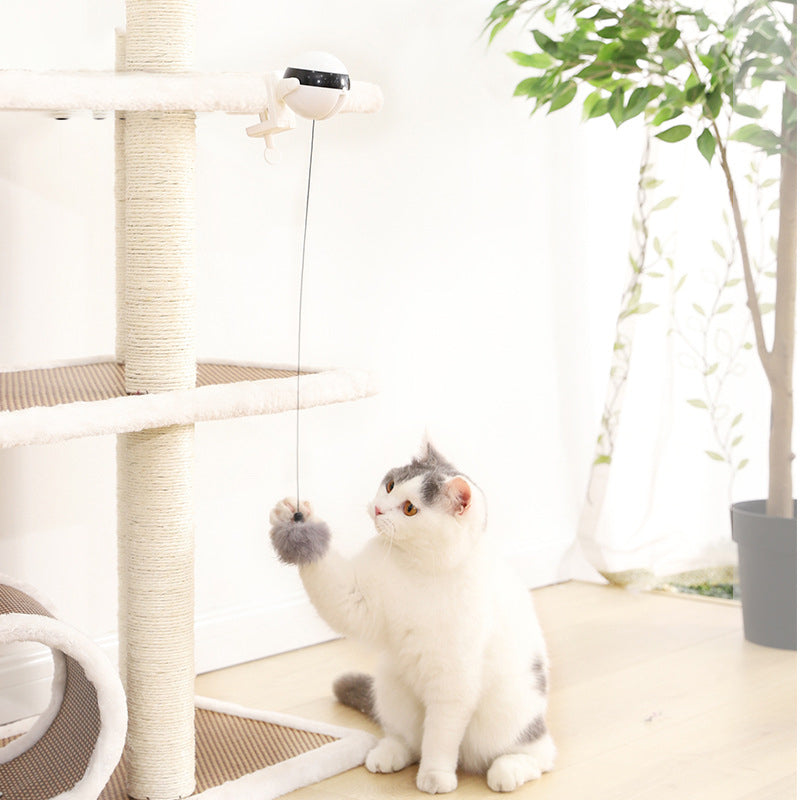 Bola Automática Elevable para Diversión Felina