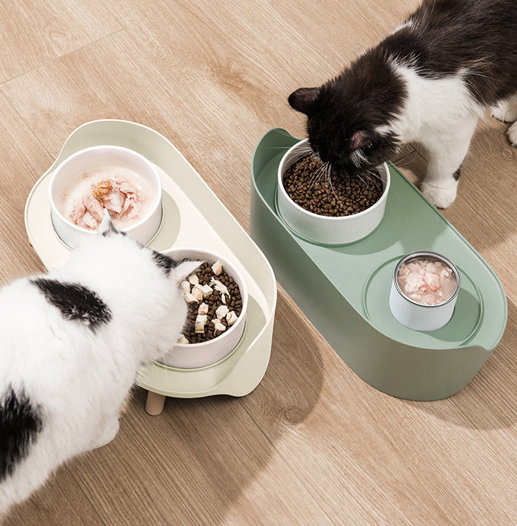 Platos Dobles Elevados: Alimentación Cómoda para tu Mascota