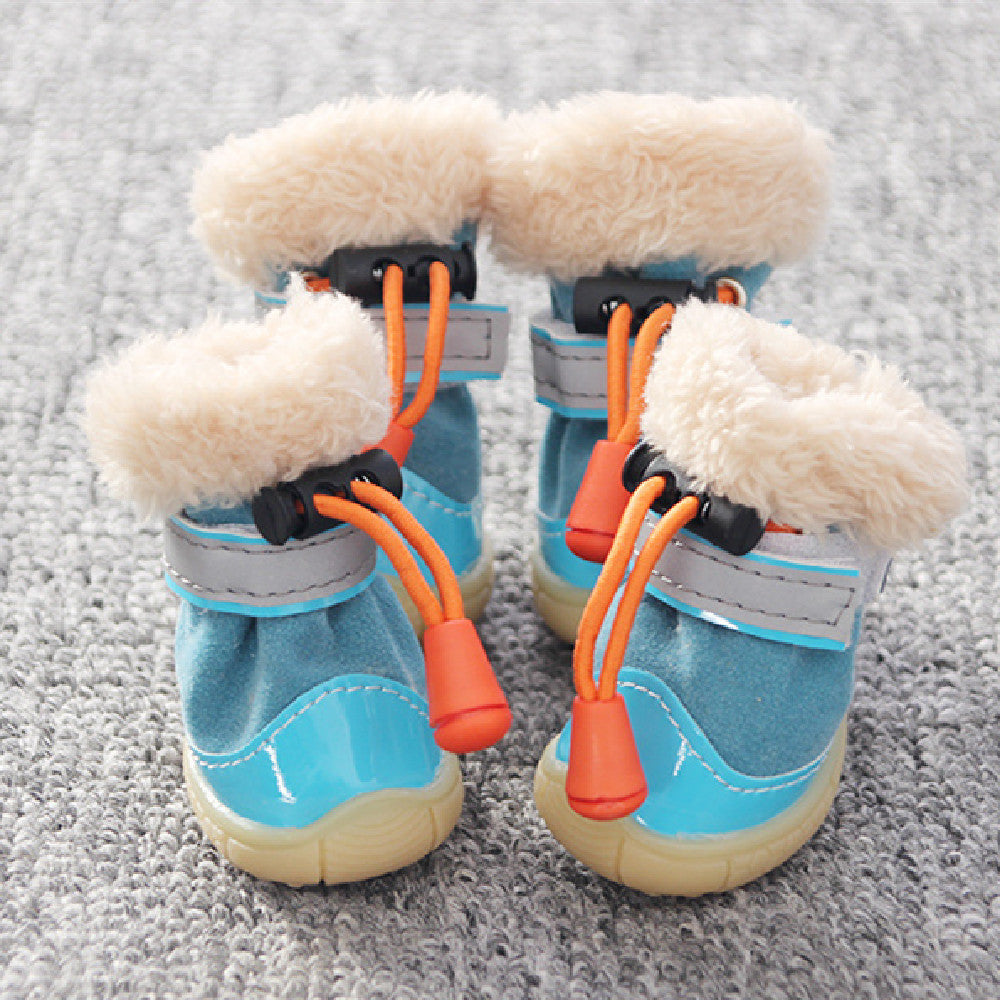 Zapatos de Moda para Perros Pequeños: Estilo y Comodidad