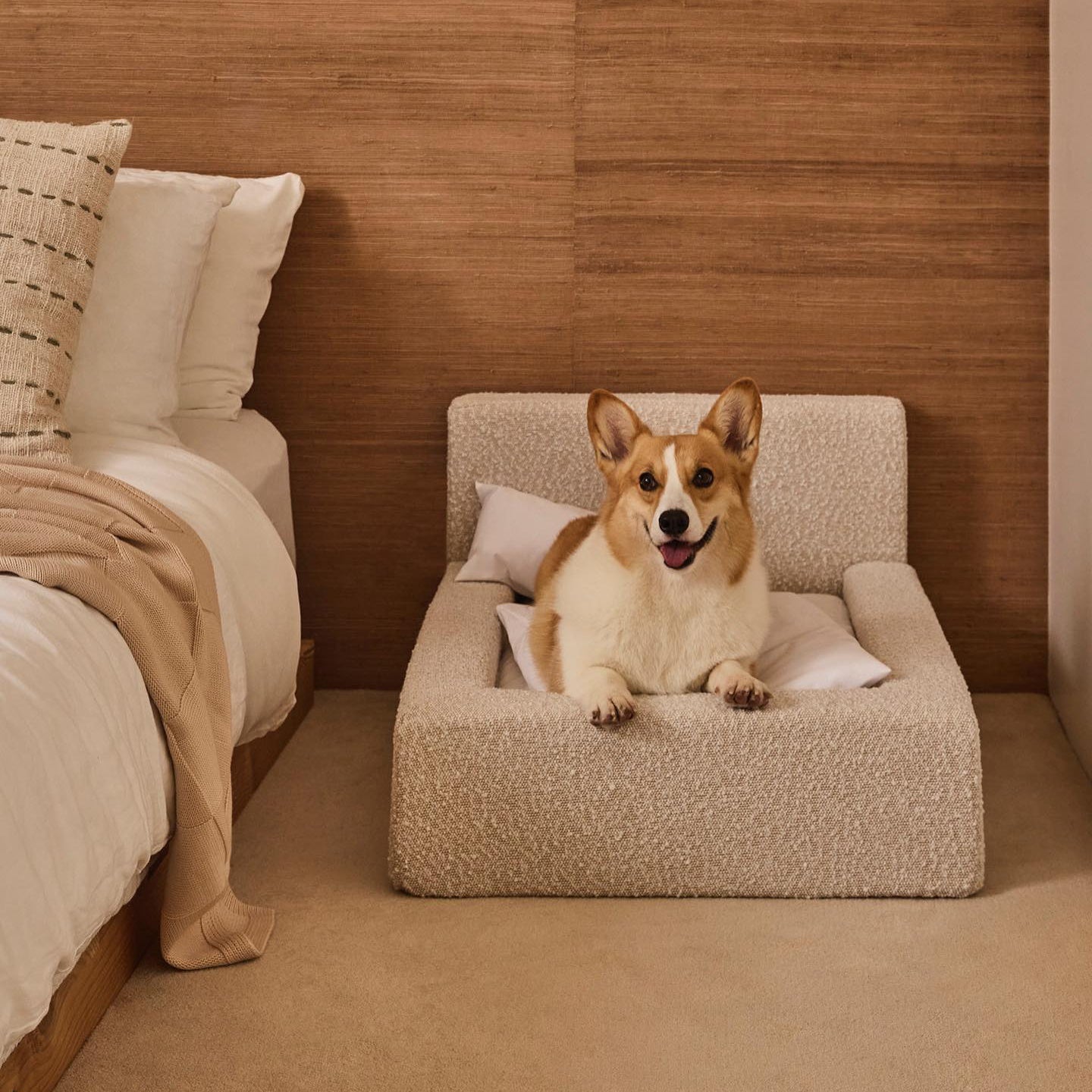 Cama Rectangular para Perros y Gatos: Sueño Confortable