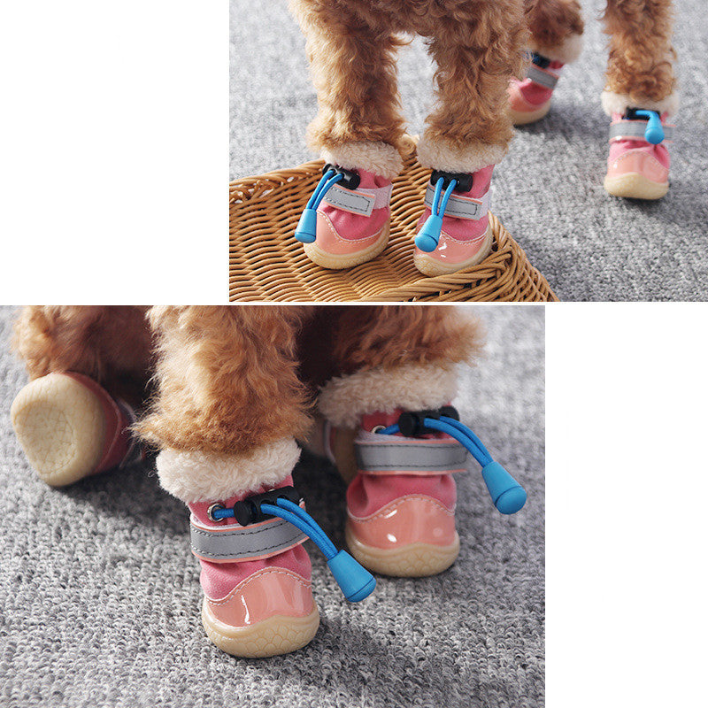 Zapatos de Moda para Perros Pequeños: Estilo y Comodidad