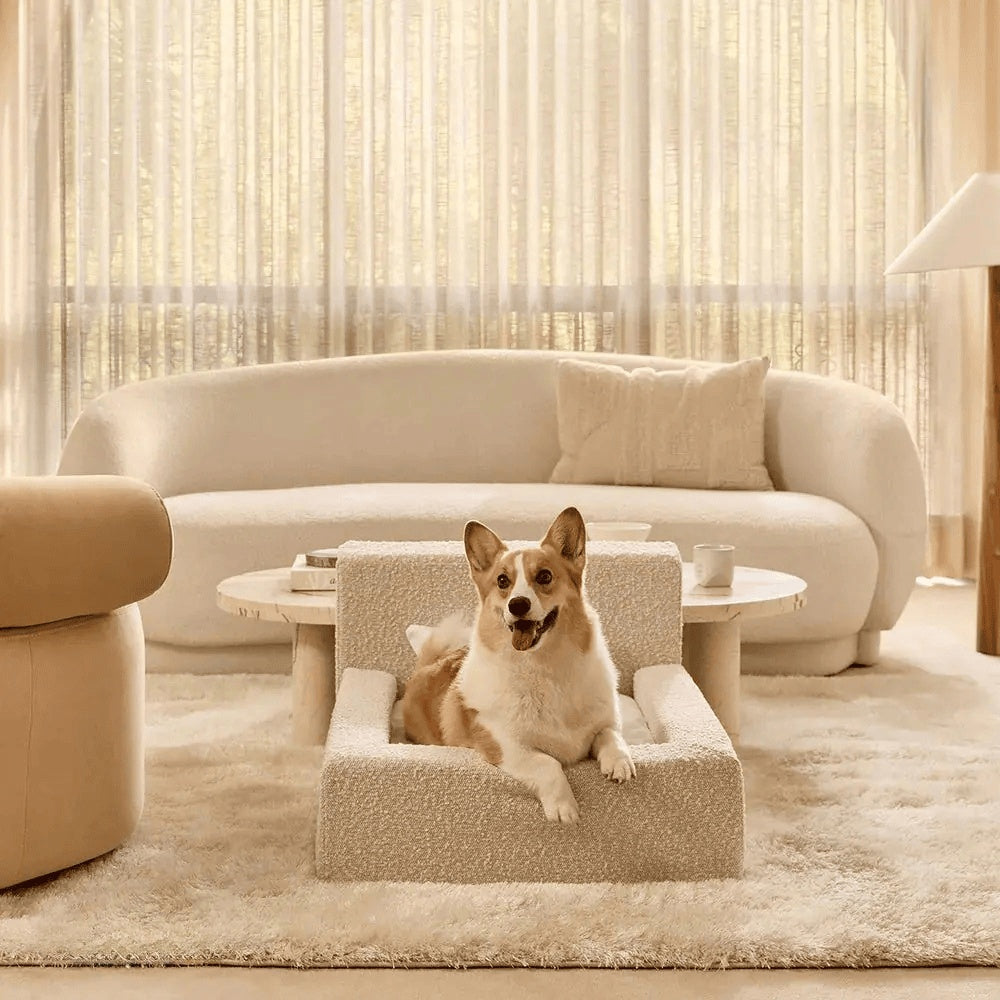 Cama Rectangular para Perros y Gatos: Sueño Confortable
