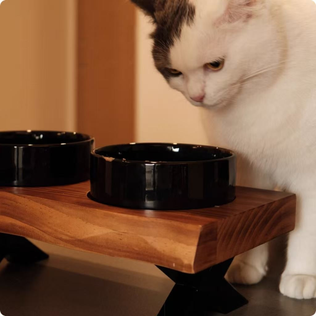 Comedero Cerámico con Soporte de Madera: Estable y Seguro