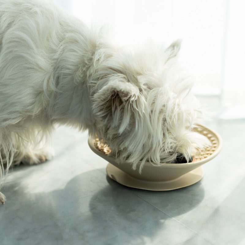 Lick Mat para Perros: Alimentación Divertida y Sin Estrés