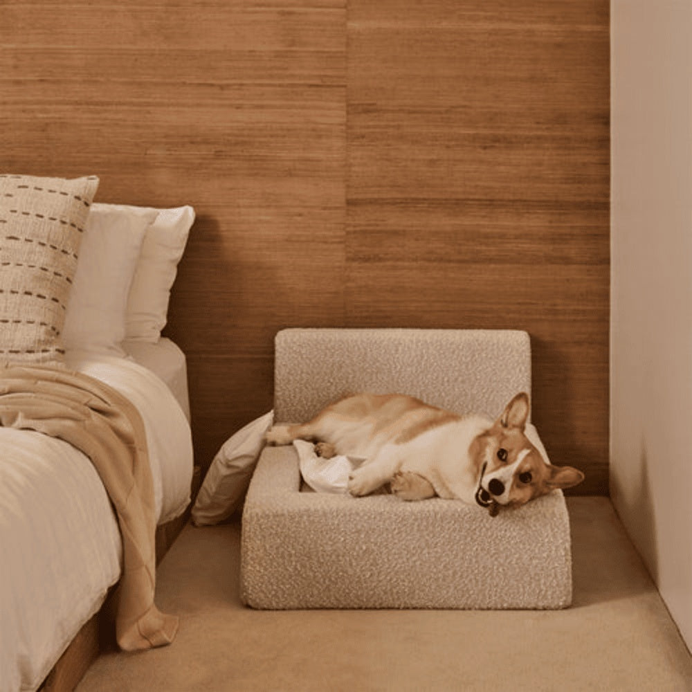 Cama Rectangular para Perros y Gatos: Sueño Confortable