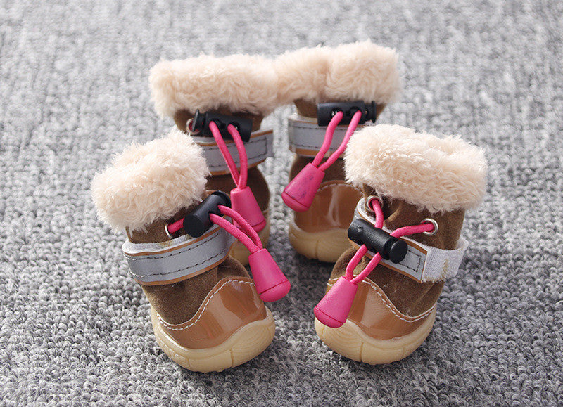 Zapatos de Moda para Perros Pequeños: Estilo y Comodidad