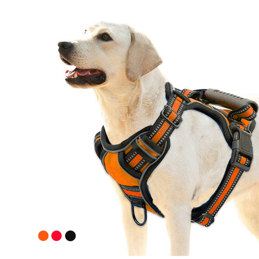 Arnés Reflectante para Perro: Paseos Sin Estrés